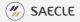 Saecle